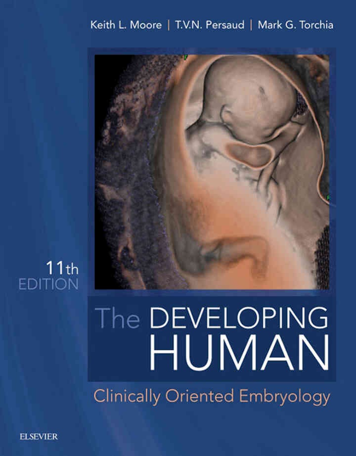 The Developing Human : Clinically Oriented Embryology eBook