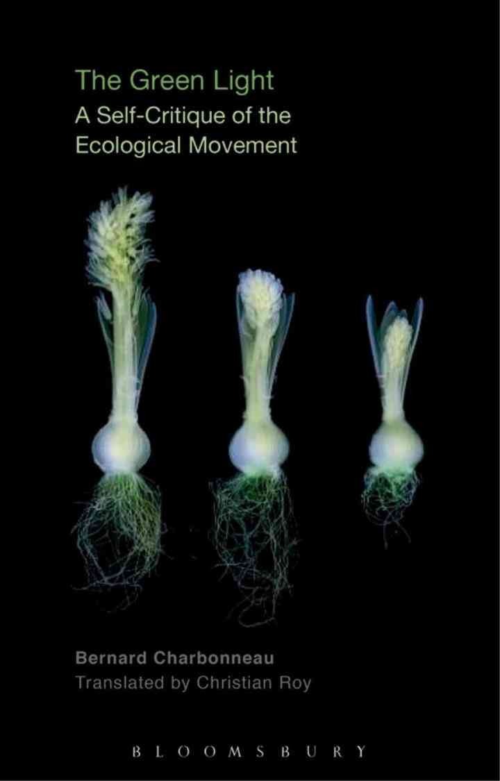 The Green Light: A Self-Critique of the Ecological Movement eBook