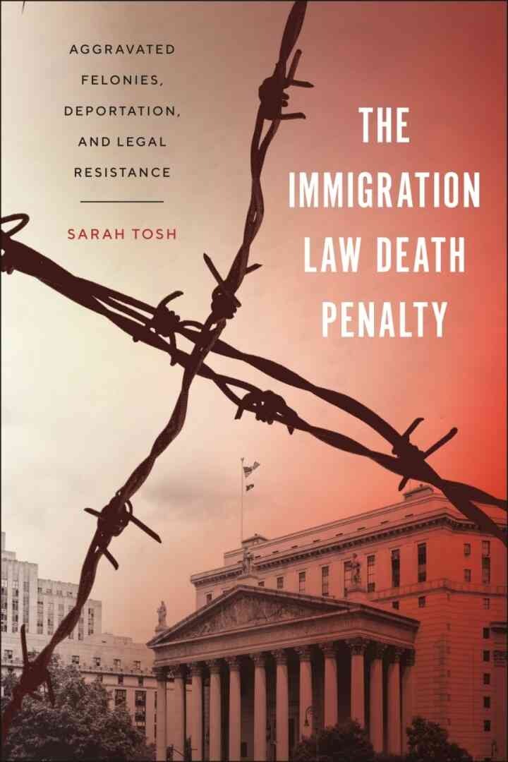 The Immigration Law Death Penalty: Aggravated Felonies, Deportation, and Legal Resistance eBook