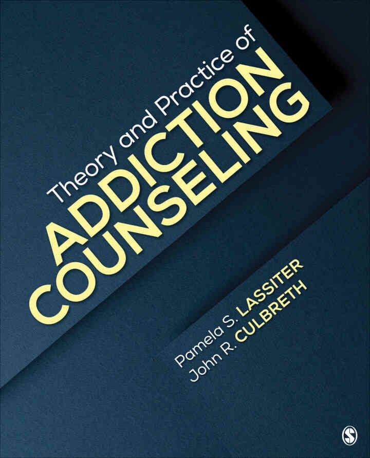 Theory and Practice of Addiction Counseling, 1st Edition eBook