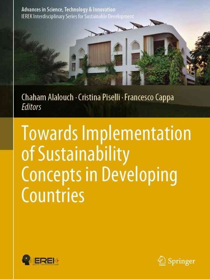Towards Implementation of Sustainability Concepts in Developing Countries eBook