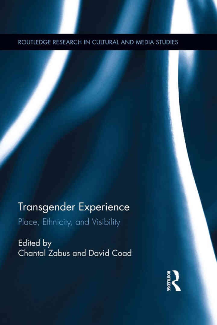 Transgender Experience: Place, Ethnicity, and Visibility eBook