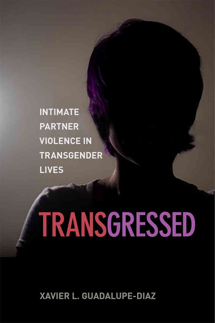 Transgressed: Intimate Partner Violence in Transgender Lives eBook