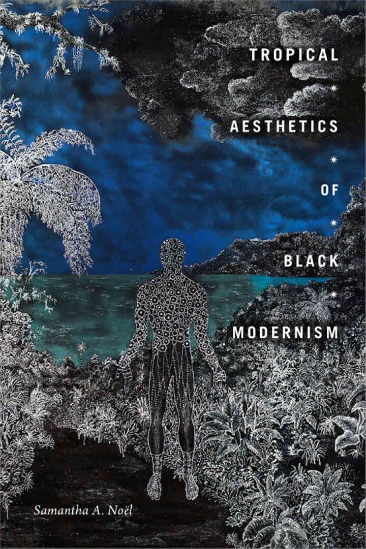 Tropical Aesthetics of Black Modernism eBook