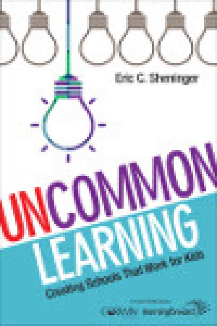 UnCommon Learning: Creating Schools That Work for Kids, 1st Edition eBook