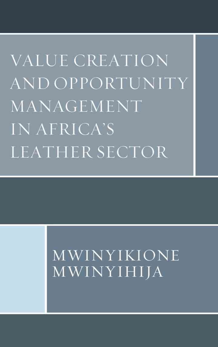 Value Creation and Opportunity Management in Africa's Leather Sector eBook
