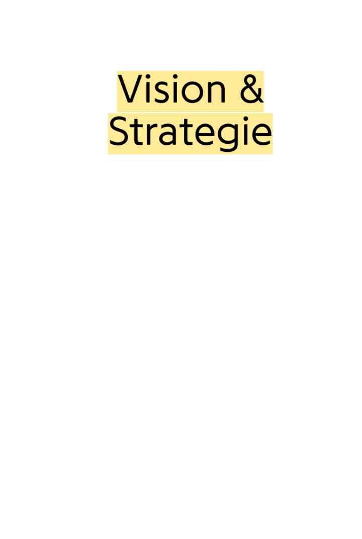 Vision & Strategie: Strategisches Denken für kreative Köpfe eBook